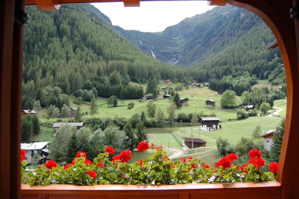 Апартаменты Casa Elena Рабби Номер фото